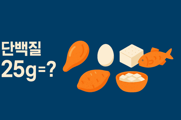 단백질 25g = 단백질 식품류