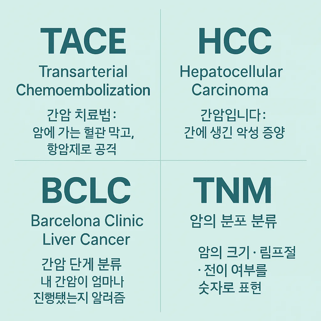TACE, HCC, BCLC, TNM의 의미를 한눈에 설명하는 인포그래픽