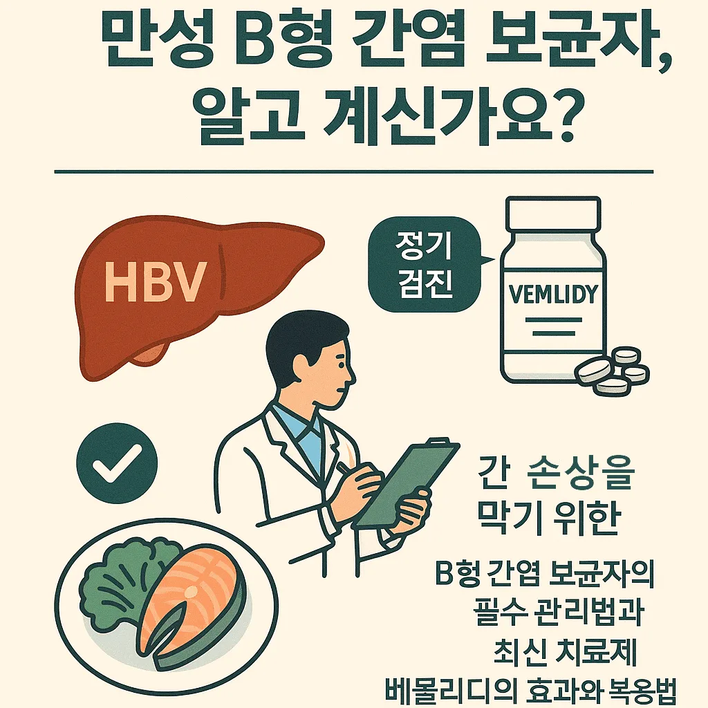 만성 B형 간염 보균자 관리법과 항바이러스제 치료를 설명하는 인포그래픽
