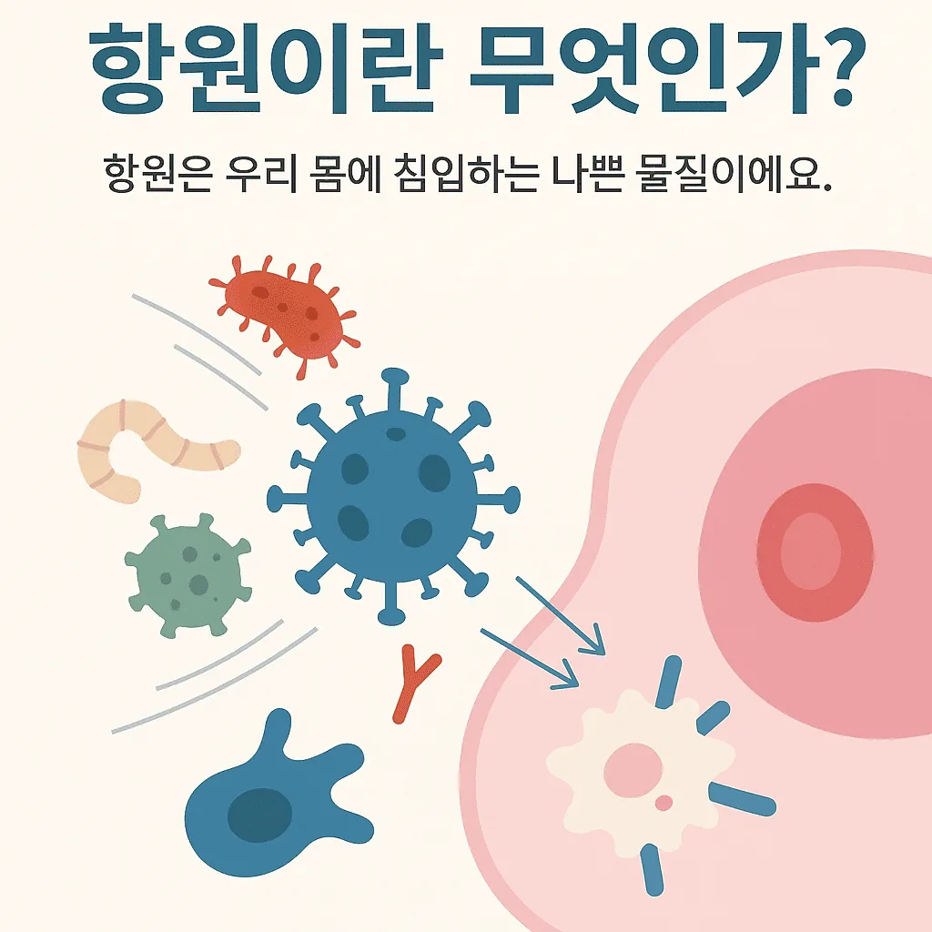 항원이 우리 몸에 침입하고, 면역세포가 항원을 공격하는 모습을 시각적으로 표현한 이미지